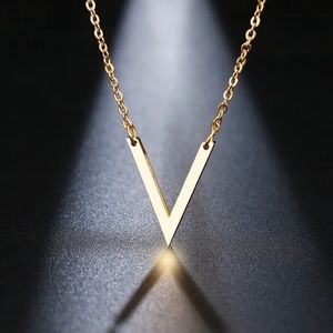 Pendant V Necklace